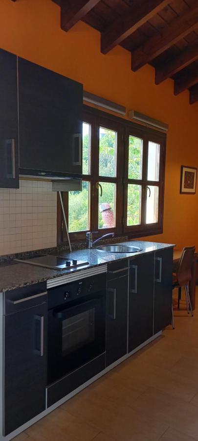 Apartamentos Rurales La Gueertona Ardines Bagian luar foto