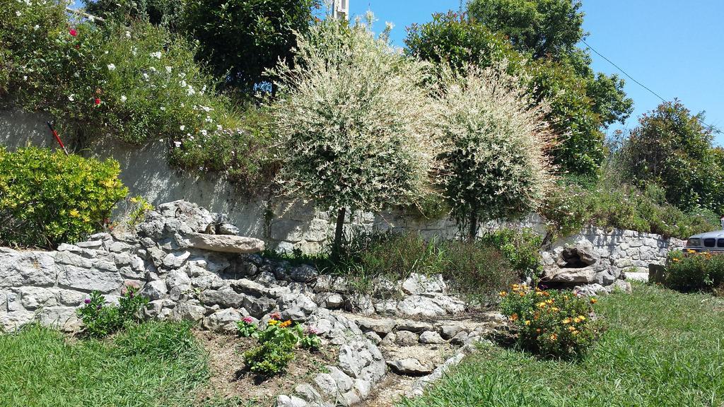 Apartamentos Rurales La Gueertona Ardines Bagian luar foto